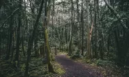 Menakutkan Tapi Justru Membuat Penasaran, Ini Tempat Paling Angker di Jepang yang Banyak Dikunjungi Turis