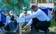 PLN EPI Perkuat Strategi Dekarbonisasi melalui Blue Carbon Ecosystems