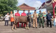 Sambut Idul Adha 1447 H, PT TIMAH Salurkan 39 Sapi Kurban untuk Warga Bangka Barat