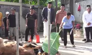 Idul Adha 1447 H, BULOG Hadirkan Semangat Berbagi untuk Ketahanan Pangan Umat