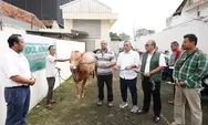 Iduladha 1447 H, PDC Salurkan Puluhan Hewan Kurban ke Seluruh Wilayah Operasional