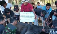 Tebar Kebahagiaan Iduladha hingga Pelosok Negeri, PLN EPI Salurkan 1.000 Paket Daging Kurban ke Wilayah 3T