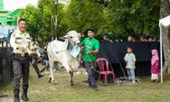 PT TIMAH Salurkan 281 Hewan Kurban pada Idul Adha 2026, Kepala Daerah Beri Apresiasi