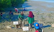 Mangrove: Benteng Alam untuk Perlindungan Pantai dari Abrasi dan Tsunami