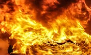 Kerugian Kebakaran Bromo Mencapai Rp 5,4 M