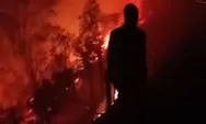 Pembuat Arang Picu Kebakaran Bukit Gombel Gunung Lawu