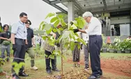 Jaga Keseimbangan Ekosistem, Universitas Prasetiya Mulya Bangun Pocket Forest 
