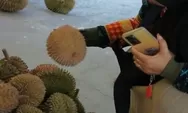 Di Penghujung Tahun, Ada Pesta Durian di Nara Kupu Jogja