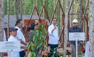  Hari Ini, Jokowi Bagikan 2000 Sertifikat Tanah di Cilacap