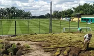 Ini Daftar Lapangan Sepakbola Rumput Bagus di DIY, Sleman Punya Paling Banyak 