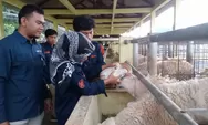 Ikut Awasi dan Periksa Hewan Kurban, Fakultas Peternakan UGM Terjunkan 28 Mahasiswa