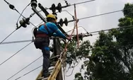 Listrik Padam? Jadwal Pemeliharaan Jaringan PLN DIY Sabtu 15 Juni 2024 di Wilayah Kota Yogyakarta dan Sleman