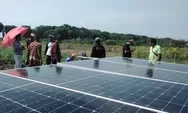 Petani Purworejo Gunakan Panel Surya untuk Mengairi Sawah, Inovasi Pertanian Irit dan Ramah Lingkungan