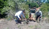  Hijaukan Kawasan Pesisir, Warga Ngentak Dibantu 200 Bibit Pohon