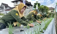 Cerita Para Ibu di Gejayan Menanam di Tanah 'Mahal' Perkotaan, Berusaha Wujudkan Swasembada Pangan Keluarga