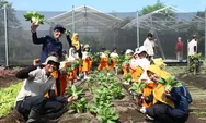 Nara Kupu Jogja Gelar Edukasi Bercocok Tanam untuk Semua Usia