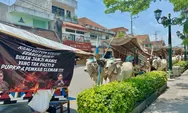 Delapan Gerobak Sapi 'Parkir' di Halaman Kepatihan dan Gedung Agung, Ini Penyebabnya