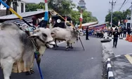 Kirab Gerobak Sapi, Kawal Penyelesaian SLF Satuan Rumah Susun Malioboro City