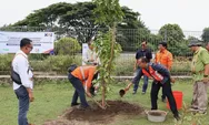 KAI Daop 6 Yogyakarta Tanam 60 Batang Pohon Serentak di 8 Stasiun