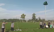 Petani Sangat Terbantu, Populasi Burung Hantu Meningkat Signifikan 