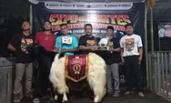 Ratusan Peternak Ikuti Expo dan Kontes Kambing Kaligesing 2025