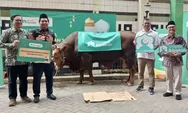 LazisMu Terima Amanah Kurban 1 Ekor Sapi Limosin dari Shopee Barokah