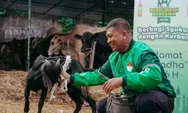 Ratusan Ekor Kambing Dibagikan Kepada Mitra Pengemudi Sebagai Bentuk Apresiasi Grab Dalam Semarak Iduladha 1446 H