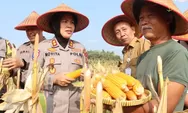 Polres Bantul Panen Jagung, Mendukung Program Asta Cita