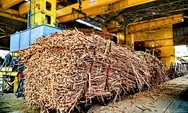 Produksi Capai 24.682 Ton, Pabrik Gula Madukismo Akhiri Masa Giling 2025