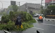 Hujan Angin di Yogyakarta Siang Tadi, Ini Dampak Kerusakan dari Data BPBD DIY