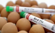 Waspada, Virus Flu Burung lekas Jangkiti Hewan Rumahan! 