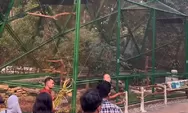 Taman Burung di TMII: Harga Tiket, Jam Operasional, dan Fasilitas