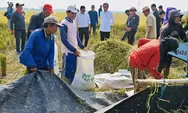 Hadiri Panen Raya di Subang Bersama Plt Mentan RI, Jokowi: Saya Senang Melihat Hasilnya