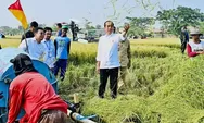 Soal Stok Beras Akibat El Nino, Jokowi Akan Tambah 1,5 Juta Ton