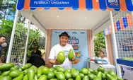 Program Pemberdayaan BRI Klasterku Hidupku Bikin Petani Ini Sukses Kembangkan Budidaya Alpukat