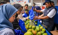 Taraf Hidup Petani Mangga Bondowoso Meningkat Berkat Pemberdayaan BRI