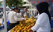 Berkat Pemberdayaan BRI, Jeruk Gerga Curup Bengkulu Tingkatkan Ekonomi Petani Lokal 