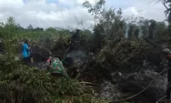 Titik Api Kembali Ditemukan di Tanjung Jabung Timur, Petugas Terkendala Sumber Air 
