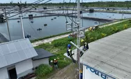 Perusahaan Tambak Udang di Maluku Berhasil Efisiensi Rp123 Juta Lebih per Hari Berkat Listrik PLN