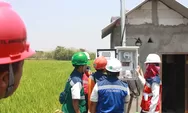 Panen Raya Sukses, Program 'Electrifying Agriculture' PLN Mampu Tingkatkan Produktivitas Pertanian Padi di Ponorogo
