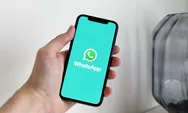 WhatsApp Memperpanjang Durasi Video Status hingga 1 Menit