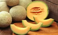 5 Manfaat Buah Melon untuk Kesehatan: Obat Diet, Atasi Rambut Rontok hingga Kekuatan Tulang