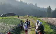 Daerah di Magelang Ini Disebut Desa Nepal Van Java, Kenapa? Berikut Cerita Relawan PNM Mekaar  Membangun Asa Warga Dusun Butuh