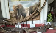 6 Fakta Menarik dari Situs Patiayam, “Gudangnya” Fosil Purbakala di Jawa Tengah