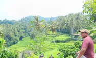 ‘One Stop Tour’! Desa Wisata Sidan Bakal Saingi Jatiluwih?