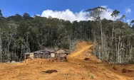 Deforestasi Hutan Pemicu Bencana Banjir, Walhi Kalteng: Konversi Hutan Harus Diimbangi Reboisasi