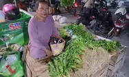 Harga Sayur di Sampit Kembali Meroket akibat Kebun Petani Kebanjiran
