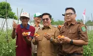 Komitmen Wujudkan Lumbung Pangan IKN, Pemkab Kukar Kucurkan 700 Miliar untuk Pertanian