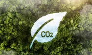 Terkait Rencana Perdagangan Karbon di HST, Warga Minta Studi Banding Dulu Ke Sini