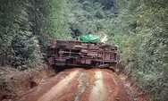 Truk Bawa 6,9 Ton Beras Bulog Terguling di Jalan Desa Kesuma Jaya Ketapang